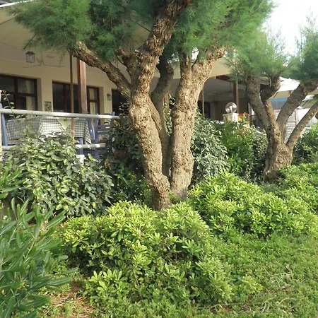 Hotel Akrogiali *