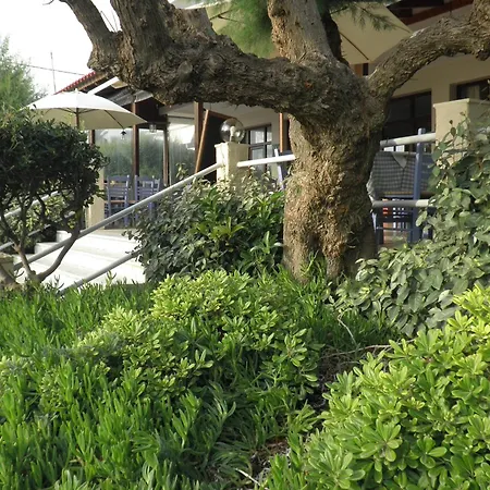 Akrogiali Hotel Kyparissia