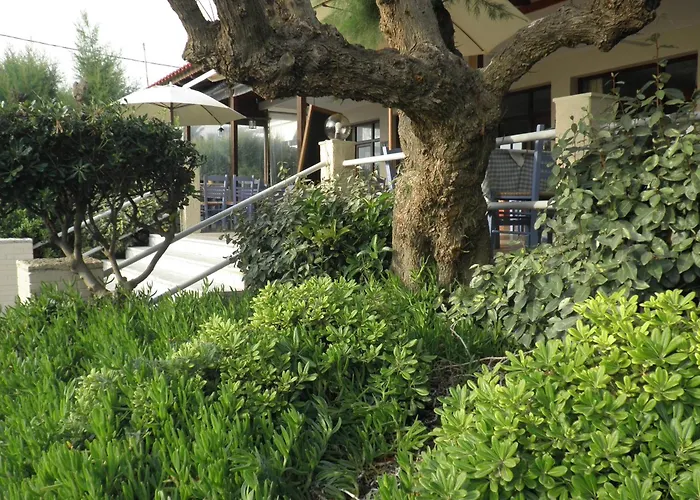 Akrogiali Hotel Kyparissia